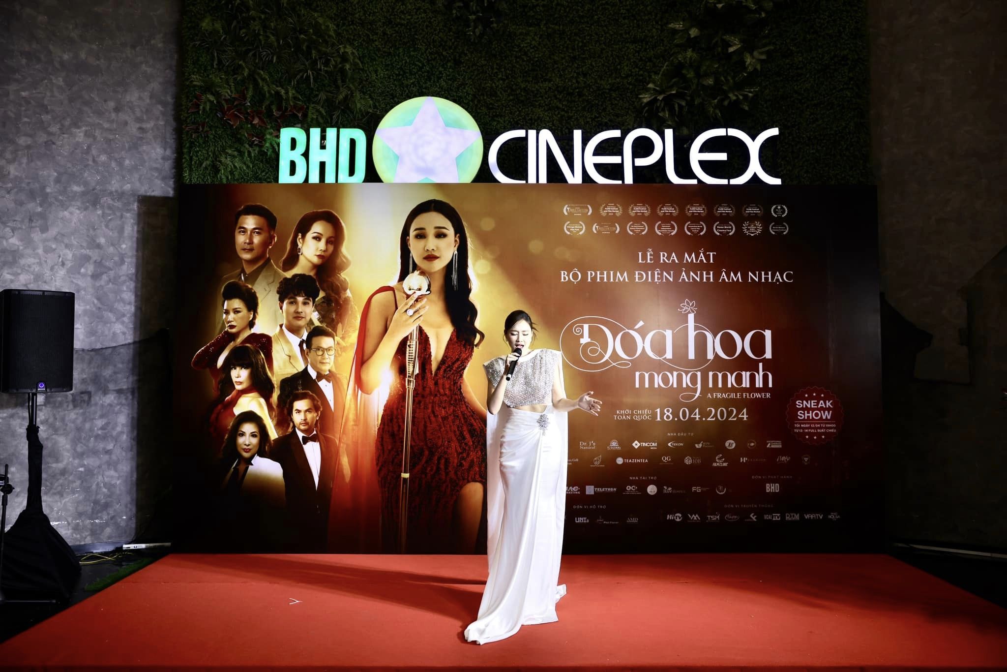 BHD Phim Việt Nam: Hành Trình Từ Rạp Chiếu Đến Tim Người Xem