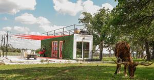 Airbnb near Fredericksburg Texas