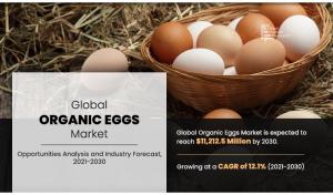 The global organic eggs industry was estimated at $3 Organic Eggs Market