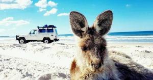 G'day Adventure Tours Australia