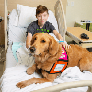 A teenage boy sitting on a hospital bed, with a big brown dog.