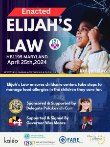 Elijah-Alavi Foundation 13