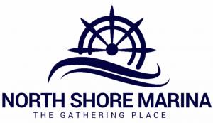 NSM:  Official Logo