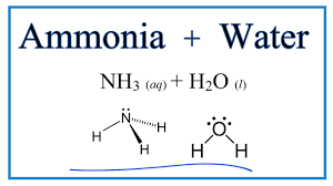 Ammonia Water Market Trends