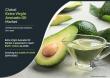 Extra Virgin Avocado Oil Market Value To Hit $527.1 Million by 2026 | Leading Global Companies and Regional Growth