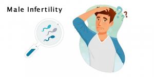 Male Infertility Market