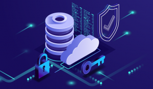 Database Security market