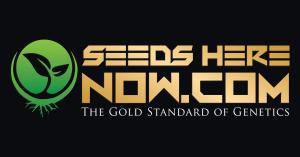 Seeds Here Now