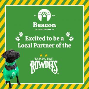 20838243 beacon rowdies announcement