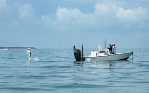 Captiva's South Seas Tarpon Tournament