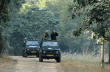 Buffer Mein Safar: Monsoon Wildlife and Landscapes in Madhya Pradesh