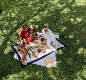Cinnamon Lodge Habarana - Picnic with family
