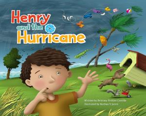 21003685 henry and the hurricane book co