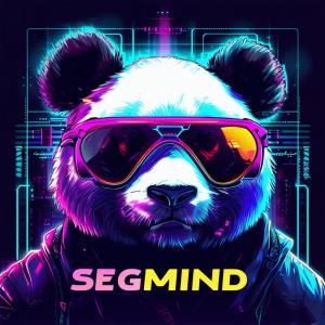 The Segmind Panda wearing Sunglasses