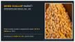 Dried Scallop Market Worth $374.6 million by 2031, Supported by a CAGR of 3.6%