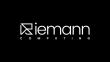 Riemann Computing Created a New Programming Language for Physicists
