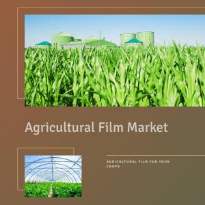 Agricultural Film Market