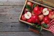 Supporting Local Farmers: The Economic Impact of the Garden of Europe Campaign