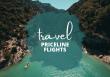 The Traveler - Priceline Flights