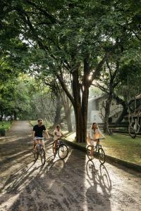 Lodge - cycling