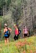 Artisan Venture Tours Highlights How Company Retreats Can Strengthen Employee Engagement and Workplace Culture