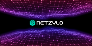 NetZylo Blockchain Domains