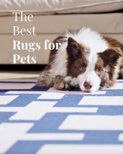 The Best Rugs for Pets