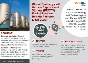 Bioenergy with Carbon Capture and Storage (BECCS) Market