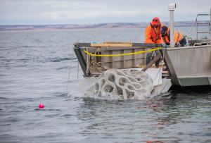 Department of Industry, Science and Resources Eureka Prize for Innovation in Citizen Science finalist, Passport to Recovery