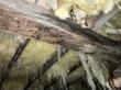 High Moisture Levels Found Under Homes in Virginia Beach, Chesapeake, and Newport News Causing Thousands in Damage
