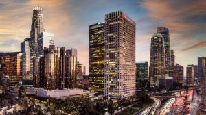 Investment Fraud Attorney