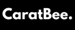 CaratBee Introduces Affordable Silver and Gold Jewelry Collection for Global Market