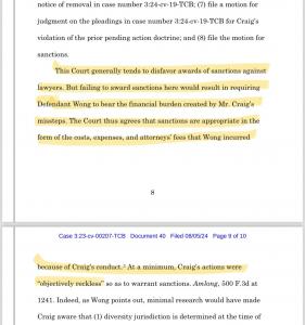 Angie Wong. L Strategies, court ruling