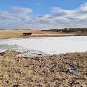 Fifteen miles south of Emery, Utah, 283,400 acres comprise the Muddy Creek (MC) Herd Management Area (HMA), home to a modest herd of America’s Wild Horses