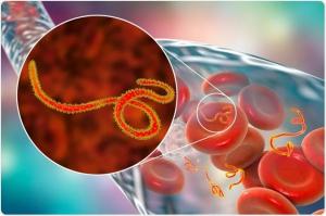 Virus Diagnostics