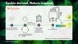 A visual representation of the Fermbox process for producing Bio-hexenol, which includes four steps: (1) sourcing enzyme combinations from different origins, (2) testing enzymatic catalysis with mutational studies to enhance efficiency and stability, (3)