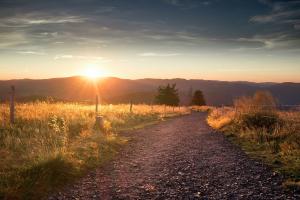 Embark on the Ultimate Summer Road Trip with Top Destinations in your Pick-up or SUV - Black Forest