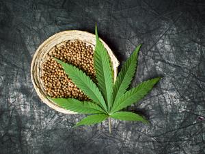 Global Industrial Hemp Market
