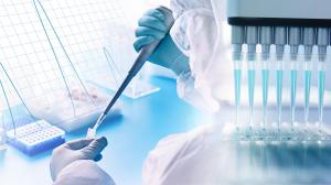 Bioanalytical Testing Services Market Report