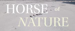 Horse of Nature