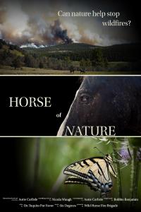 Horse of Nature movie poster