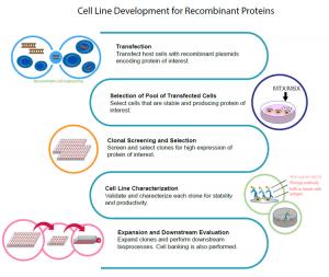 Cell Line Development industry
