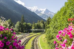 21429182 chamonix summer geocultura