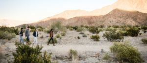 Four individuals walking through a desert landscape, with majestic mountains rising in the background.