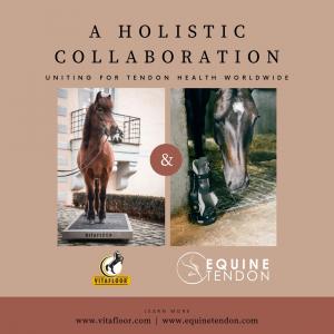 A Holistic Collaboration