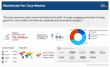 Pet Toys Market Booming with a 8% CAGR, Estimated to Reach $18.4 Billion by 2032
