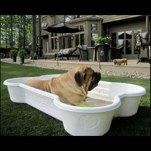 Entrepreneur Raymond Palmer Reflects on Ikigai Journey Behind One Dog One Bone 10 In 21 years, the Bone Pool has solidified its place in becoming a part of Classic Iconic Americana.The Bone Pool has solidified its place in becoming a part of Classic Iconic Americana.