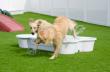 One Dog One Bone Redefines Canine Summer Safety And Sustainability, Exposing The Dual Dangers Of Disposable Kiddie Pools
