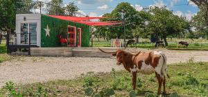 Best Bed and Breakfast in Texas 2025
