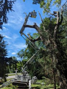 Williams Tree Company arborists using specialized equipment to safely remove a storm damaged tree after the storm.